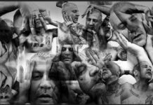 Vírus Manifesto – Onde Estão os Meus Chinelos?!…